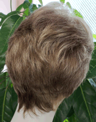 RX ANI 100% Hand tied, Lite Weight, Fine Monofilamant Prosthetic Syn. Fiber Wig