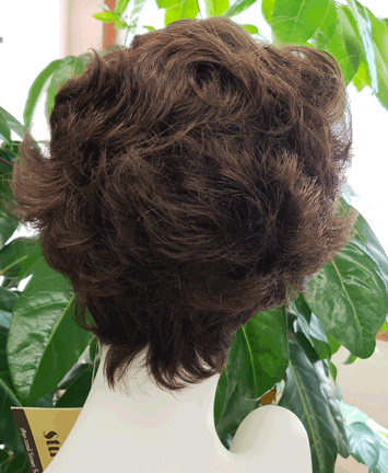 RX ANIPW Prosthetic Wig