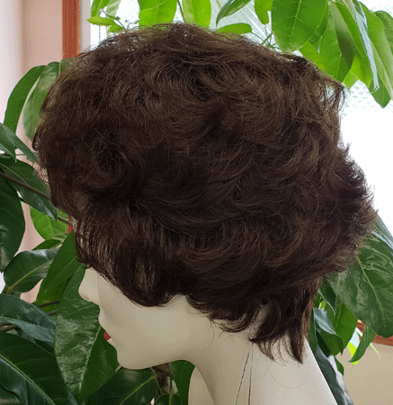 RX ANIPW Prosthetic Wig