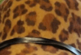 Hat Leopard HatEBH96860S - Also Available in Black