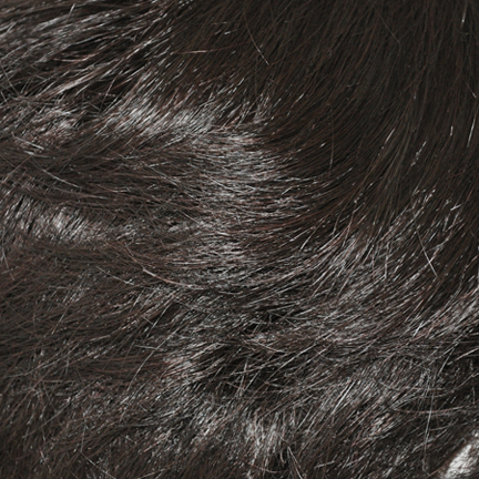 RX 12-24 Prosthetic Wig 100% Hand Tied with Lace Front