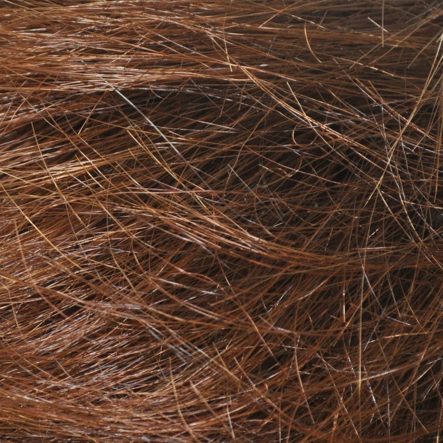 RX CCO Prosthetic Wig