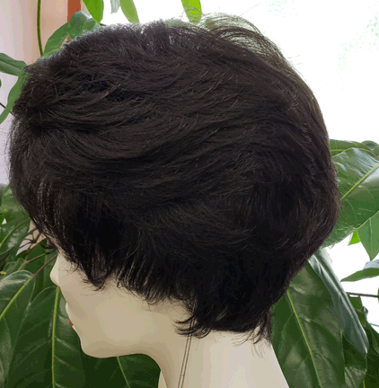 RX SWLWSPK 100% Hand Tied with Lace Front
