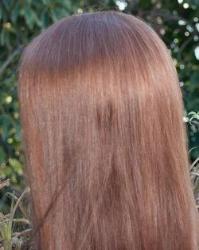 Design Model Intra-Weave Debut 70% Off (Available To Order On-Line Only)