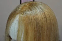 R/X 953 100% Remy Human Hair & Hand Tied Prosthetic Wig